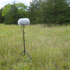 Prairies and Small Forests