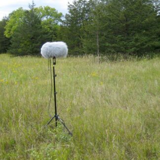 Prairies and Small Forests