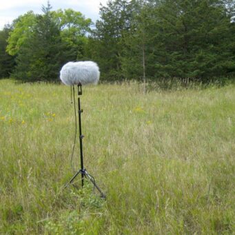 Prairies and Small Forests