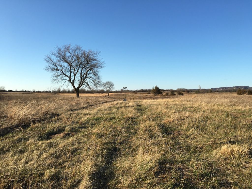 Prairie Wind Companion - Image 3