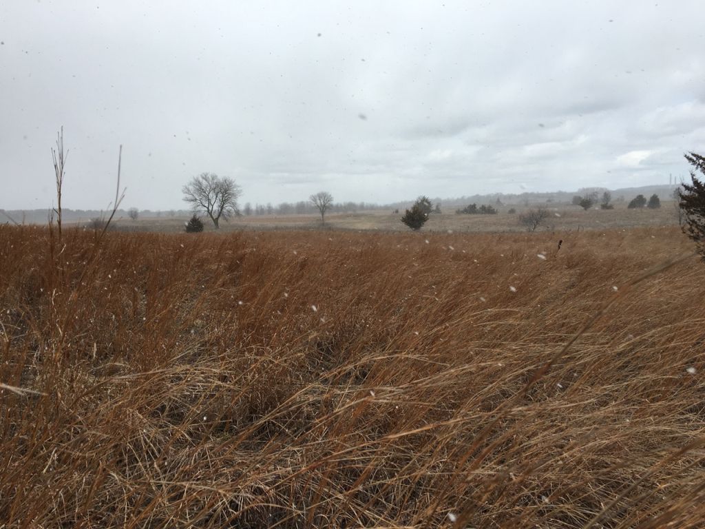 Prairie Wind Companion - Image 2