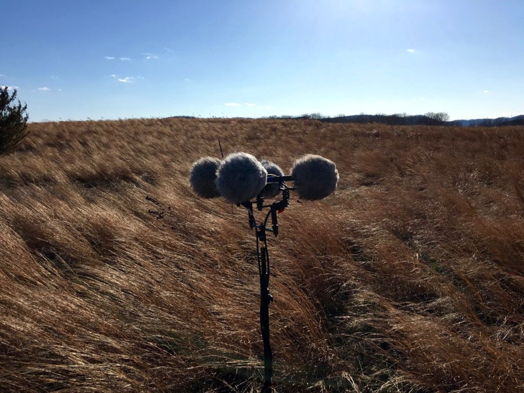 Prairie Wind Companion